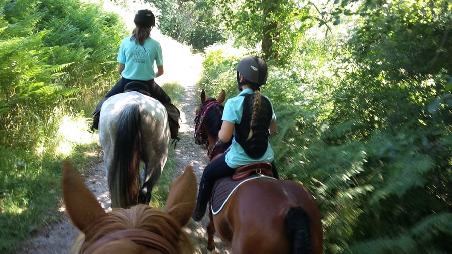 Ecole d’équitation Centre equestre la Palombe