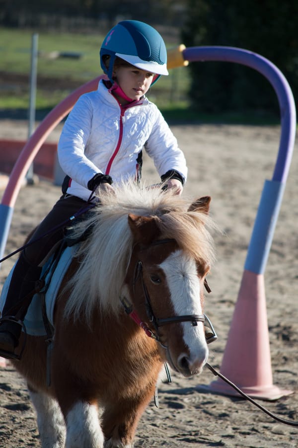 Ecole d’équitation Centre equestre la Palombe