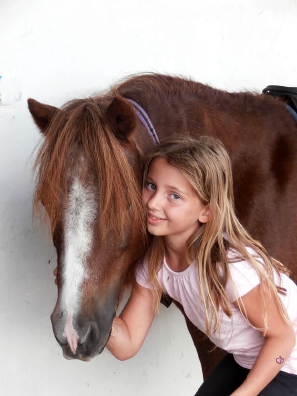 Ecole d’équitation Centre equestre la Palombe